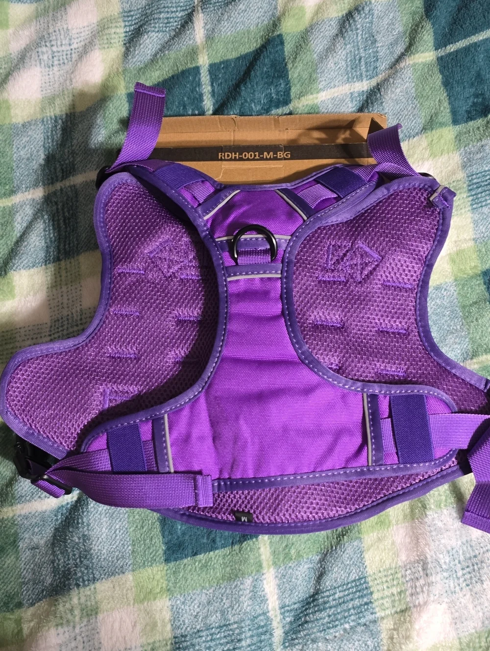 One-Piece Purple Activity Harness
